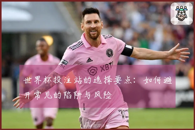 世界杯投注站的选择要点：如何避开常见的陷阱与风险