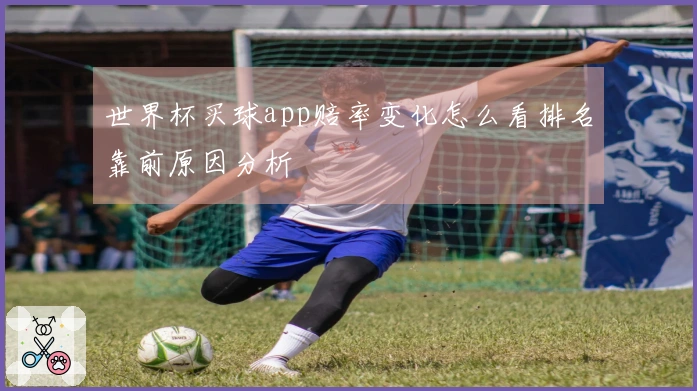 世界杯买球app赔率变化怎么看排名靠前原因分析