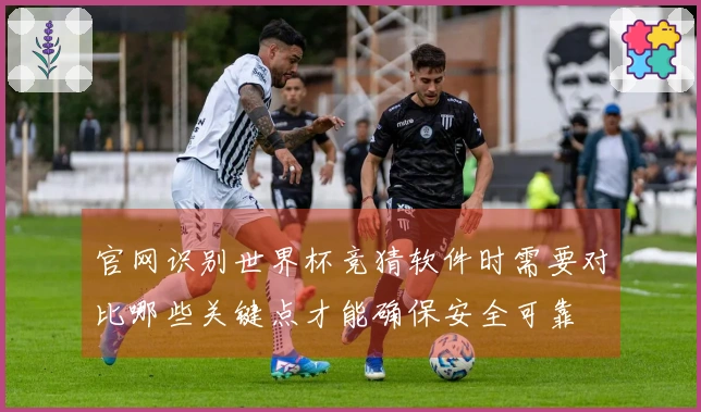 官网识别世界杯竞猜软件时需要对比哪些关键点才能确保安全可靠