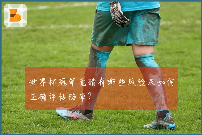 世界杯冠军竞猜有哪些风险及如何正确评估赔率？