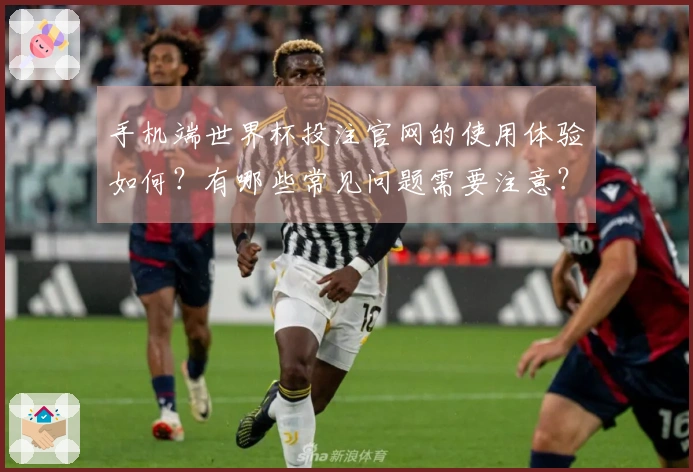 手机端世界杯投注官网的使用体验如何？有哪些常见问题需要注意？