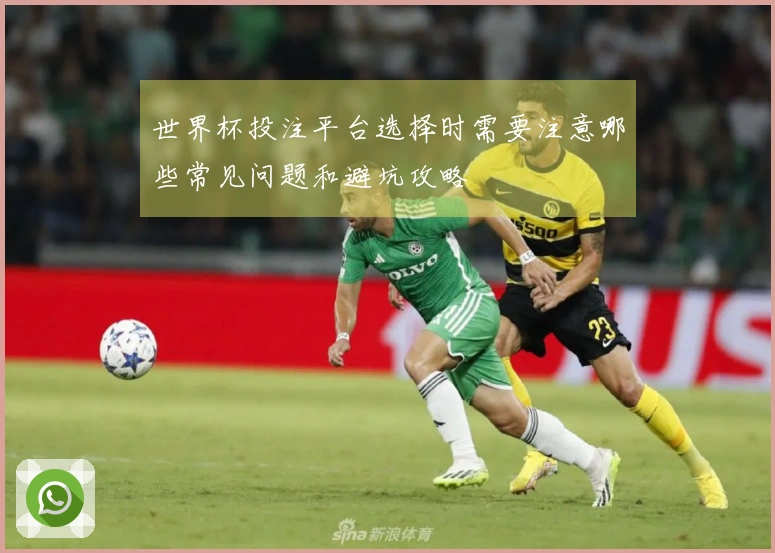 世界杯投注平台选择时需要注意哪些常见问题和避坑攻略