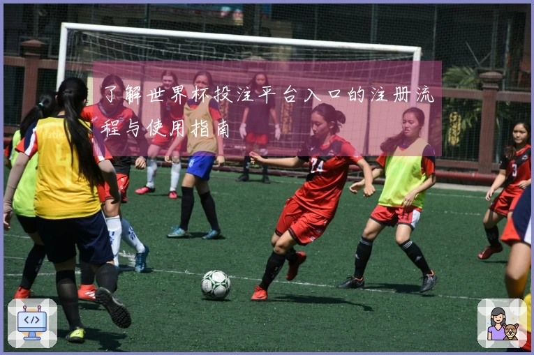了解世界杯投注平台入口的注册流程与使用指南