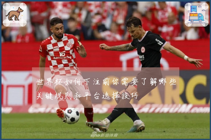 世界杯如何下注前你需要了解哪些关键规则和平台选择技巧