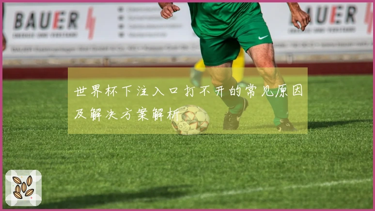 世界杯下注入口打不开的常见原因及解决方案解析