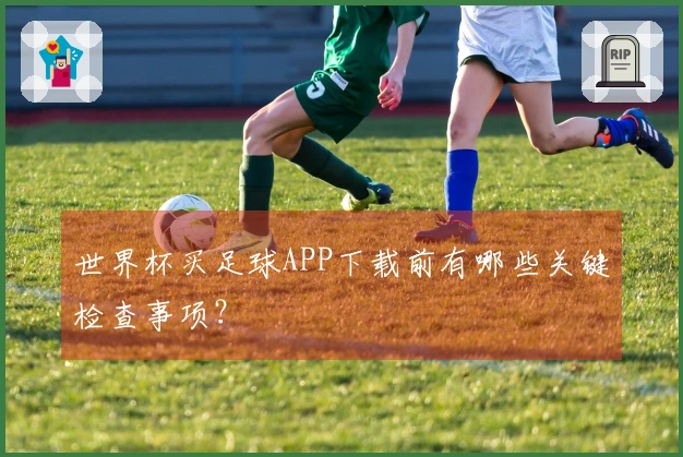 世界杯买足球APP下载前有哪些关键检查事项?