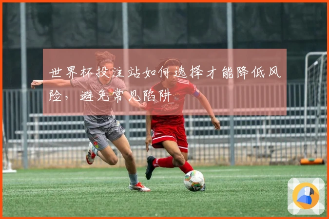 世界杯投注站如何选择才能降低风险，避免常见陷阱