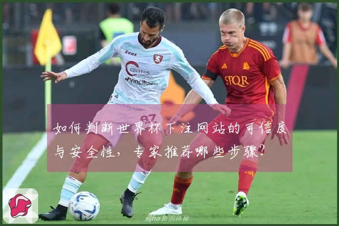 如何判断世界杯下注网站的可信度与安全性，专家推荐哪些步骤？