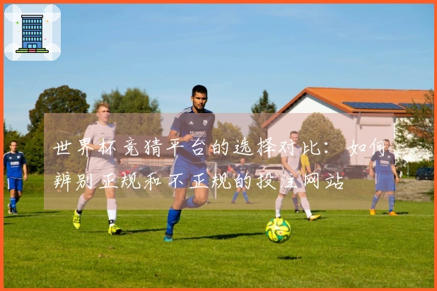 世界杯竞猜平台的选择对比：如何辨别正规和不正规的投注网站
