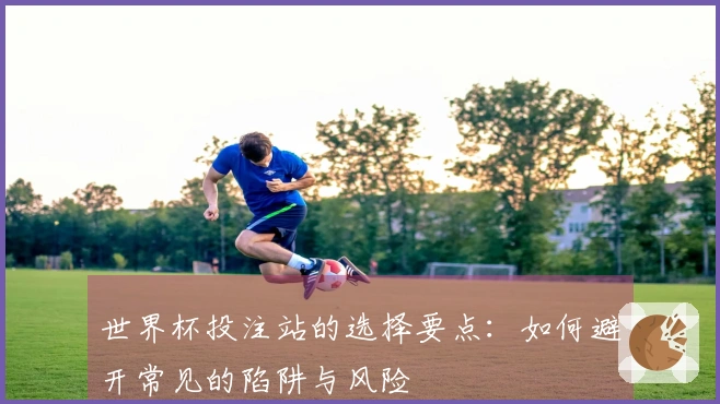 世界杯投注站的选择要点：如何避开常见的陷阱与风险