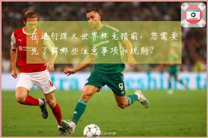 在进行烽火世界杯竞猜前，您需要先了解哪些注意事项和规则？