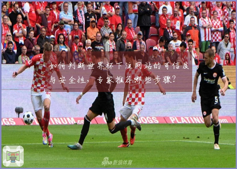 如何判断世界杯下注网站的可信度与安全性，专家推荐哪些步骤？