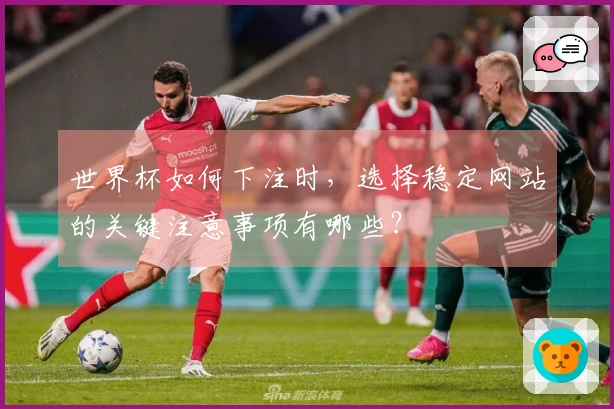 世界杯如何下注时，选择稳定网站的关键注意事项有哪些？