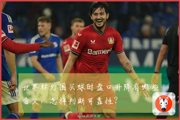 世界杯外围买球时盘口升降有哪些含义，怎样判断可靠性？