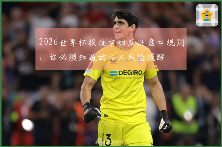 2026世界杯投注中的亚洲盘口规则，你必须知道的几大风险提醒