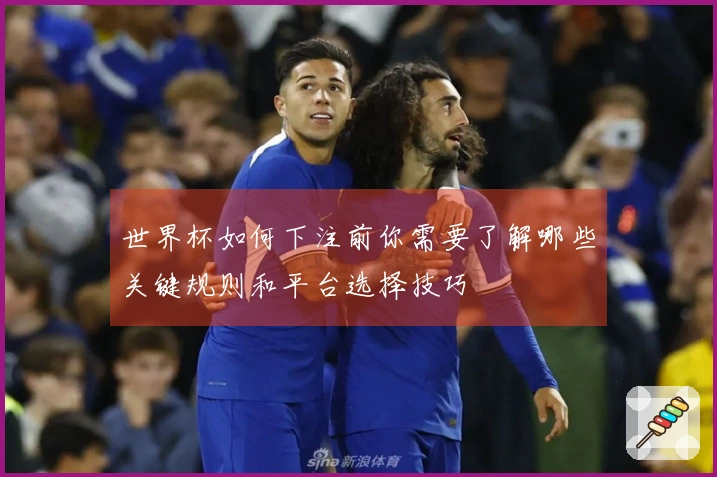 世界杯如何下注前你需要了解哪些关键规则和平台选择技巧