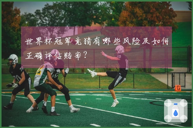 世界杯冠军竞猜有哪些风险及如何正确评估赔率？