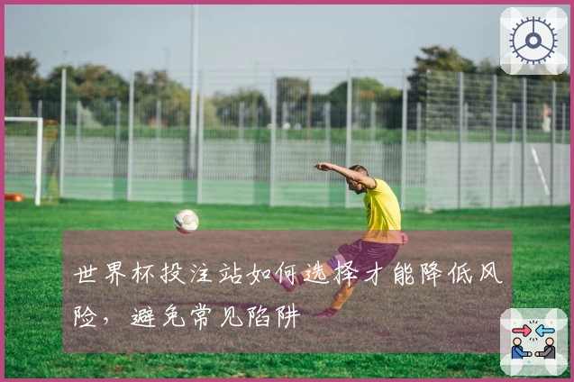 世界杯投注站如何选择才能降低风险，避免常见陷阱